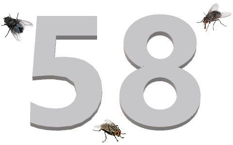 El 58 para ahuyentar moscas y otros mitos para el control de plagas